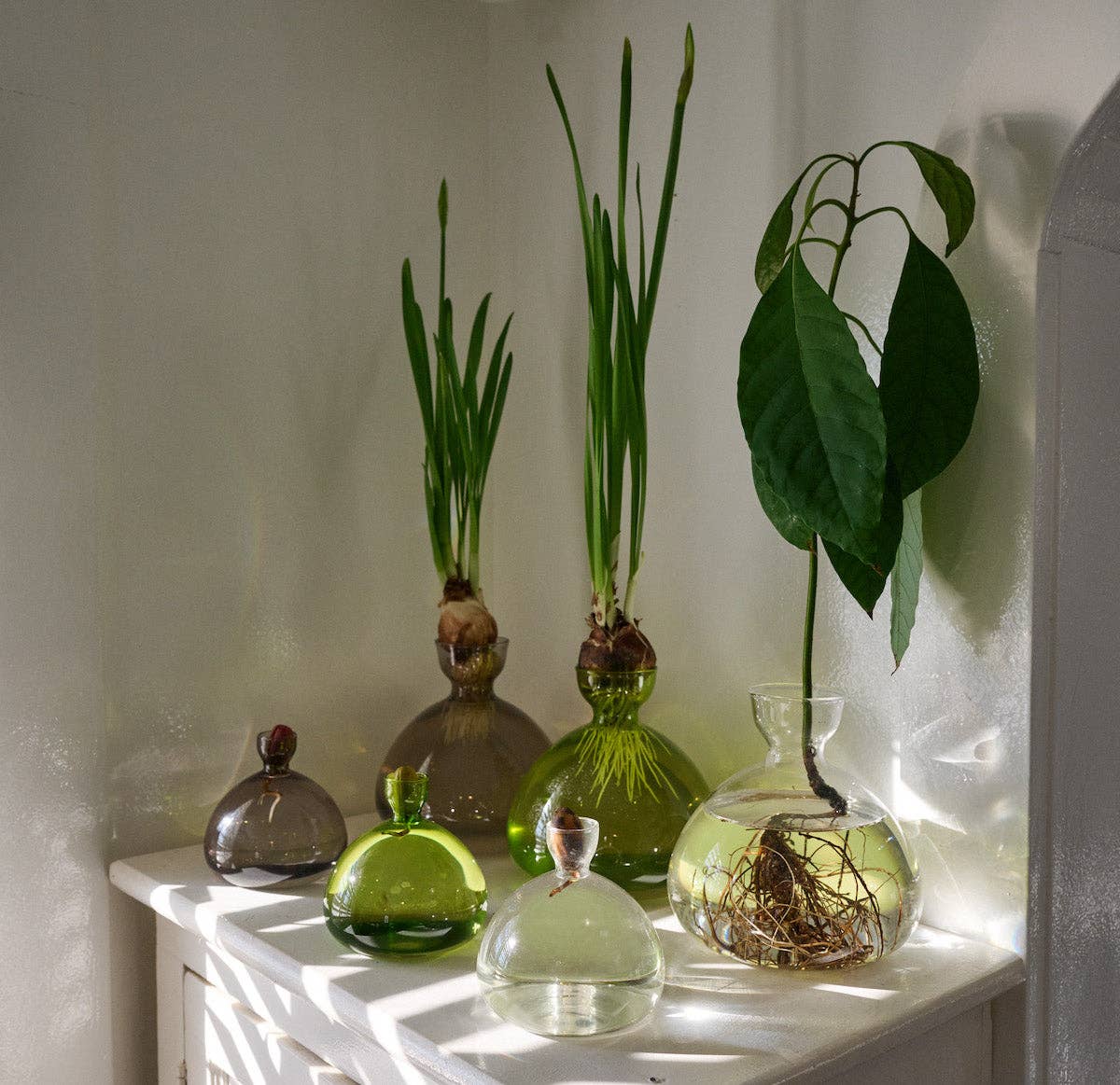 Acorn Vase: Grass Green