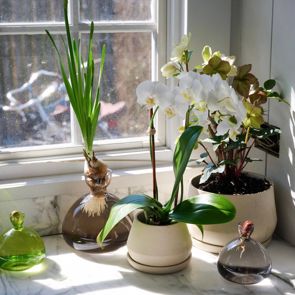 Acorn Vase: Grass Green