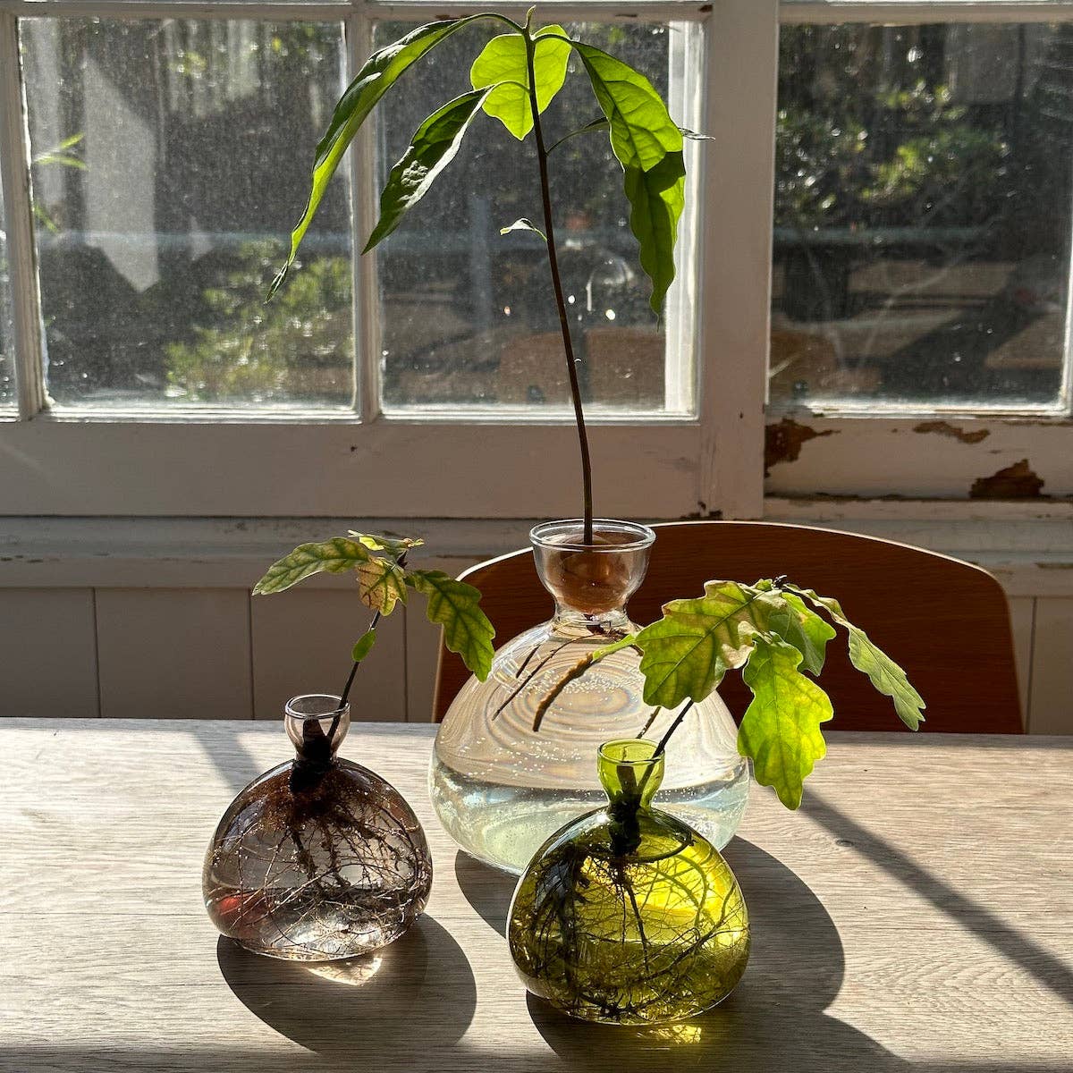 Acorn Vase: Grass Green