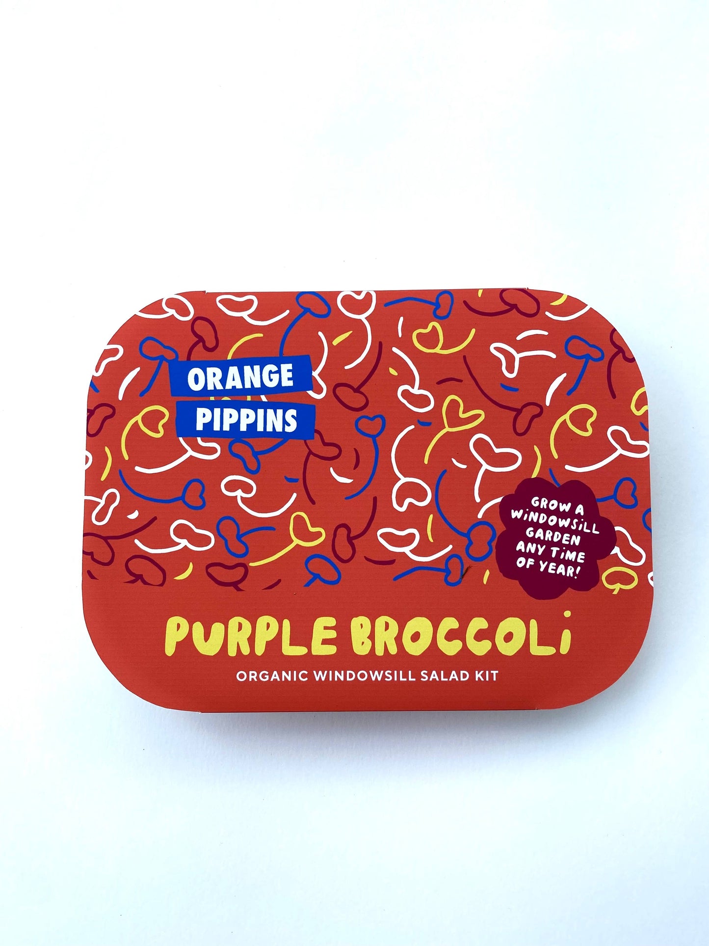 Windowsill Salad Kit: ORGANIC Purple Broccoli