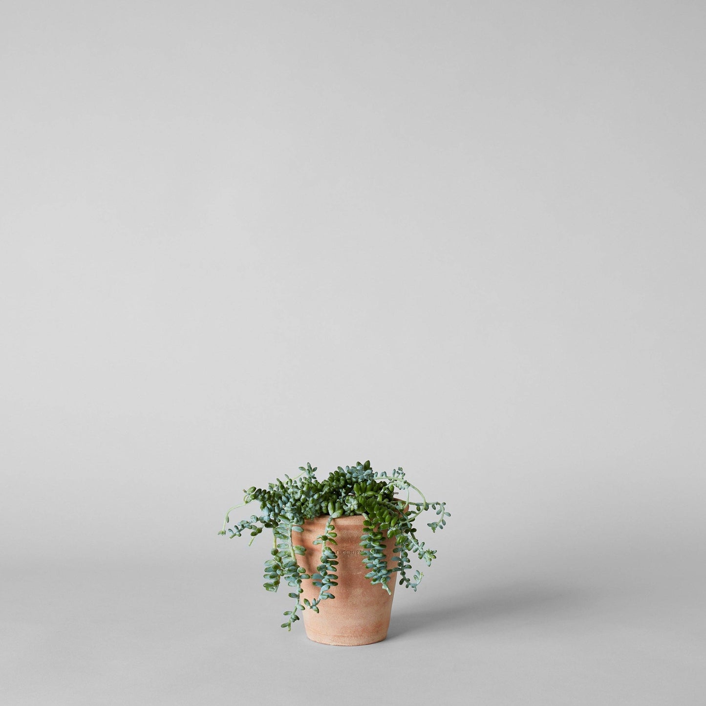 Studio Planter, Whitewash: Medium