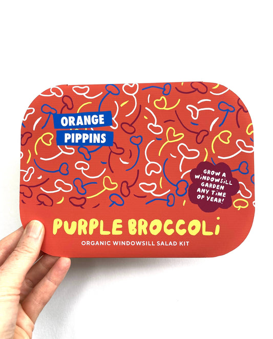 Windowsill Salad Kit: ORGANIC Purple Broccoli