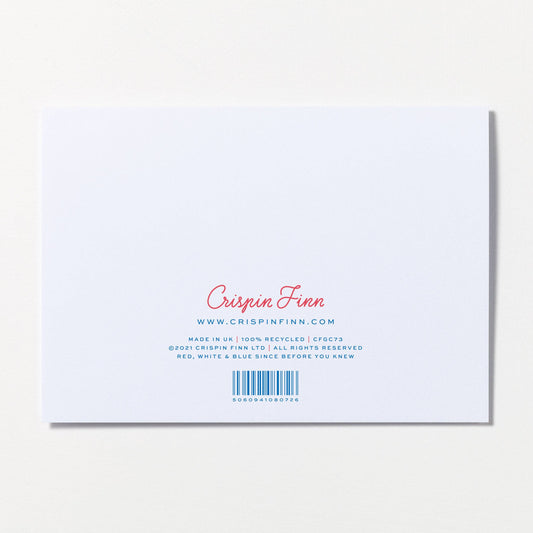 Pobody's Nerfect Greeting Card