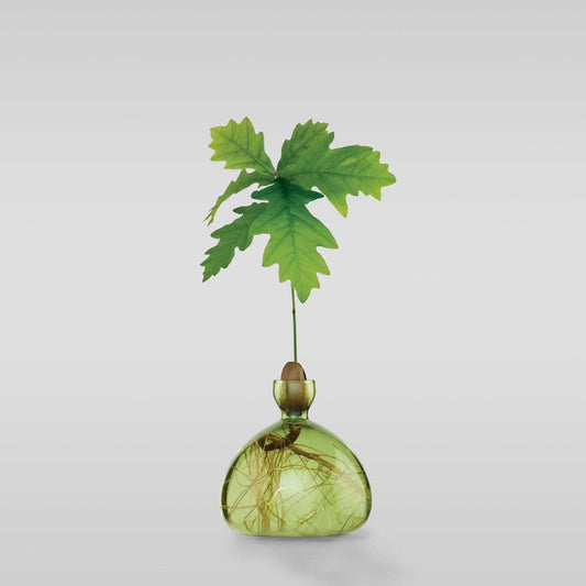 Acorn Vase: Grass Green