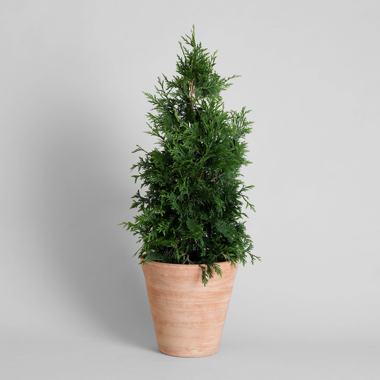Studio Planter, Whitewash: Small