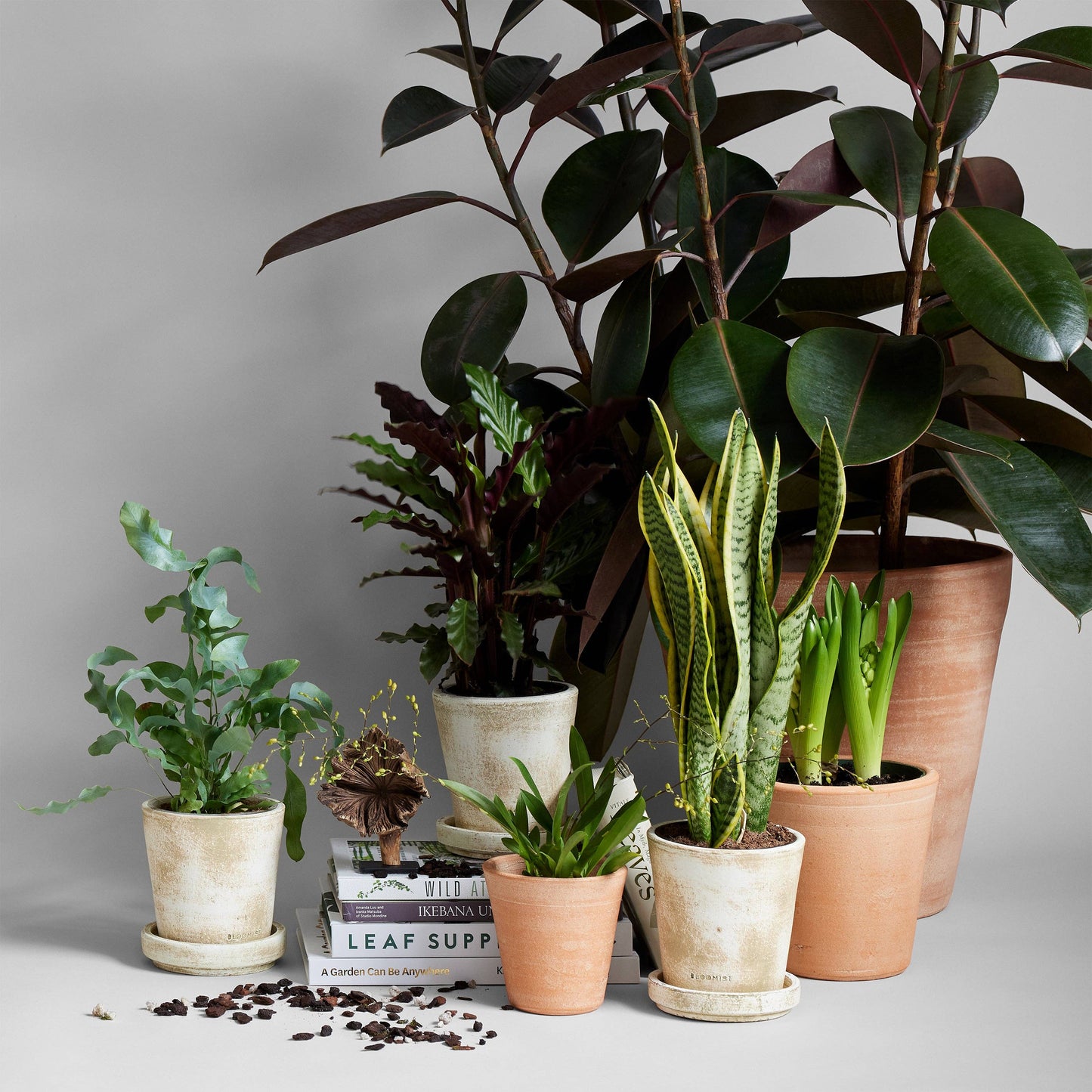 Studio Planter, Whitewash: Medium
