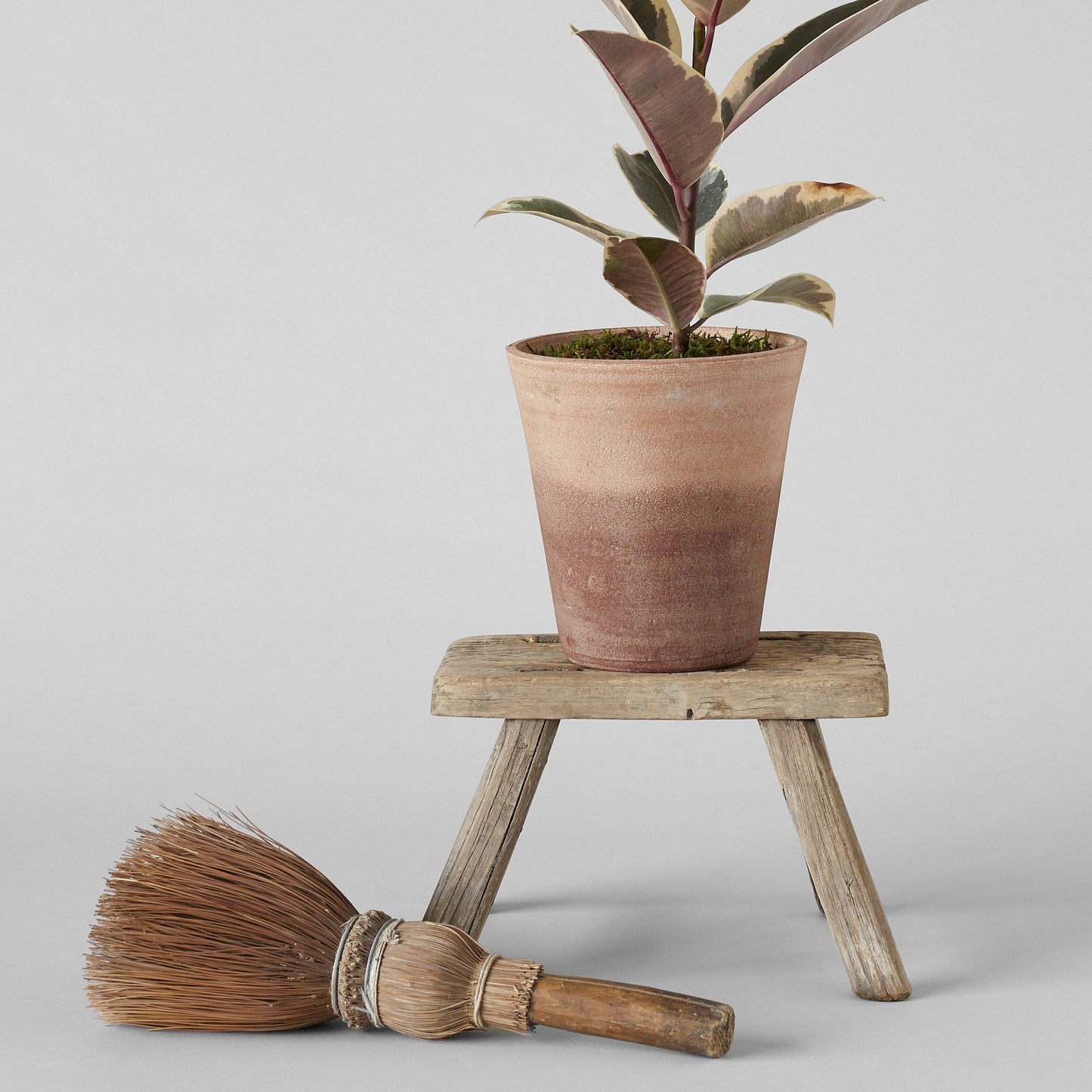 Studio Planter, Whitewash: Medium